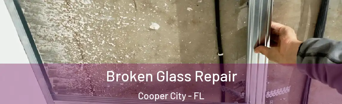 Broken Glass Repair Cooper City - FL