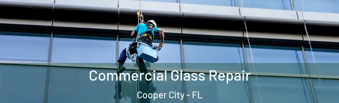 Commercial Glass Repair Cooper City - FL