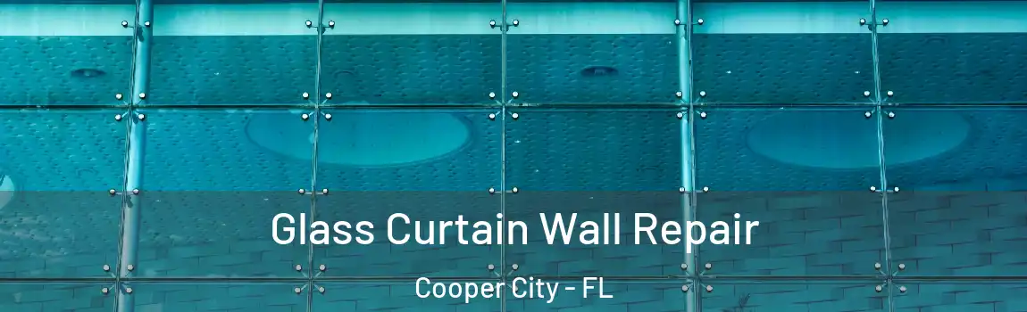 Glass Curtain Wall Repair Cooper City - FL