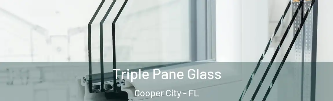 Triple Pane Glass Cooper City - FL