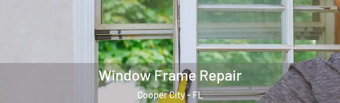 Window Frame Repair Cooper City - FL