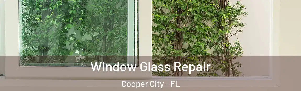 Window Glass Repair Cooper City - FL