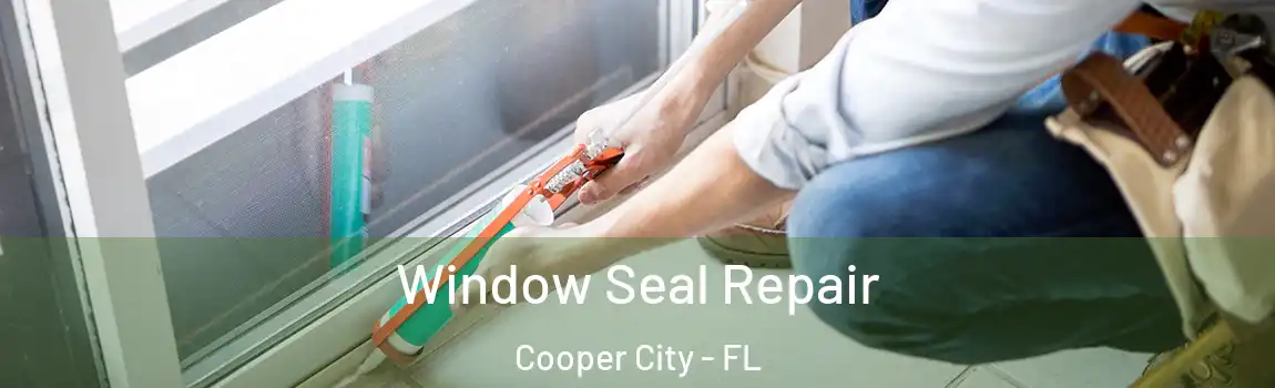 Window Seal Repair Cooper City - FL